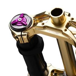Вилка RFloXa Hawk 31 MAX Gold