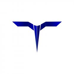 Колодки тормозные задние Komodo